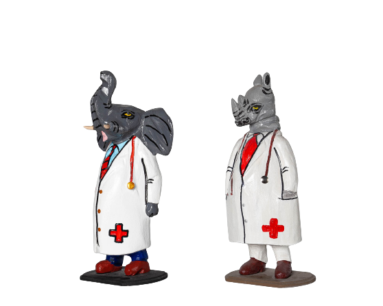 _MG_3027-removebg-preview